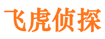 启东市私家侦探公司